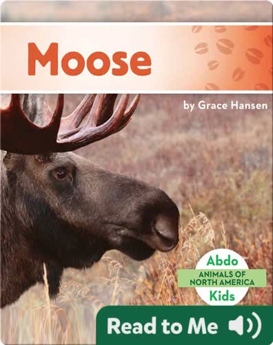 Moose