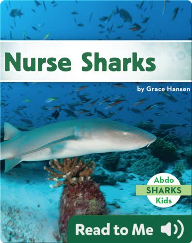 Nurse Sharks