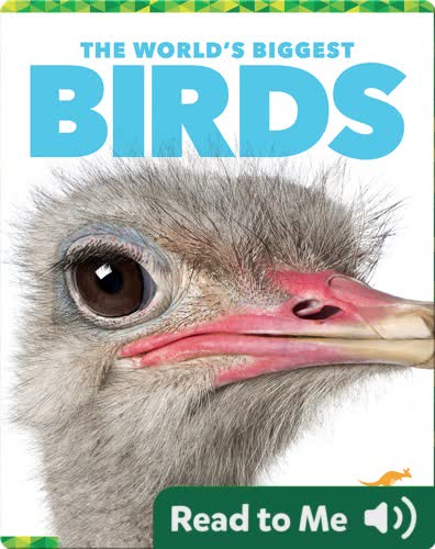 The World's Biggest Birds