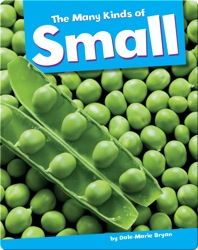 The Many Kinds Of Small