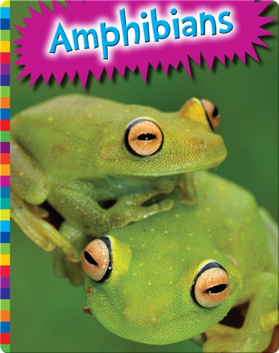 Amphibians
