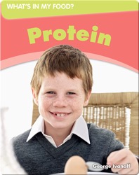 Protein