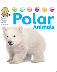 Polar Animals