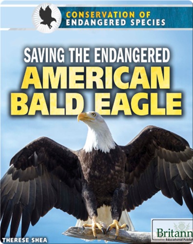 Saving the Endangered American Bald Eagle