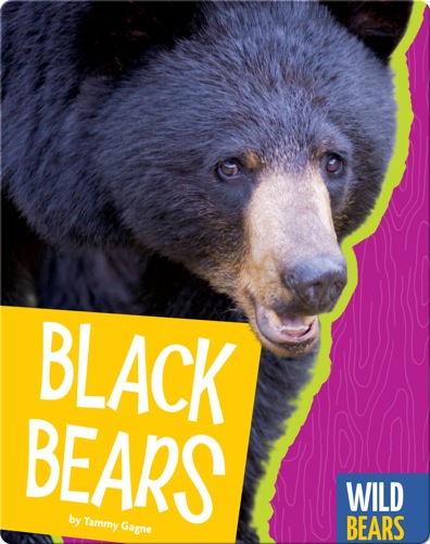 Black Bears