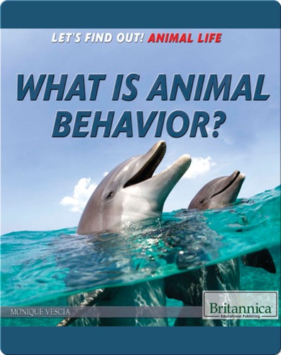 What Is Animal Behavior?