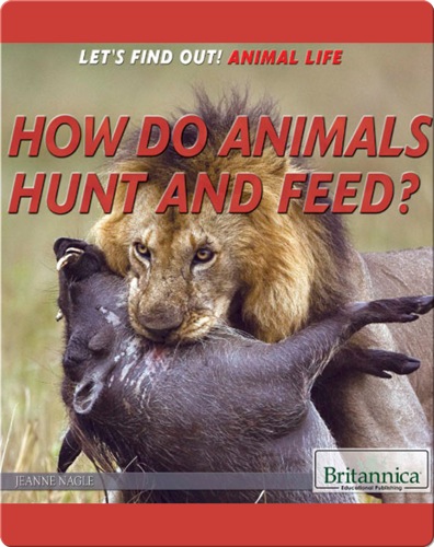 How Do Animals Hunt and Feed?
