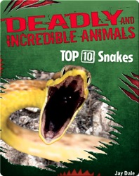 Top 10 Snakes