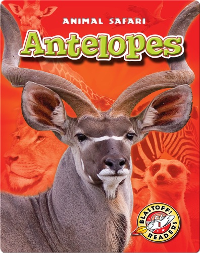 Antelopes