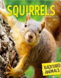 Squirrels