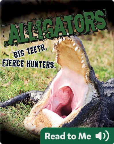 Alligators. Big Teeth. Fierce Hunters!