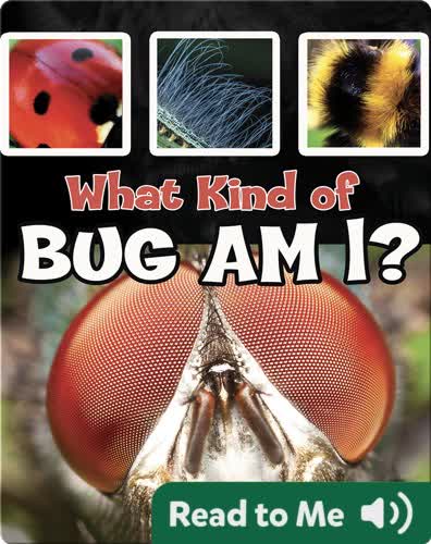 What Kind of Bug Am I?