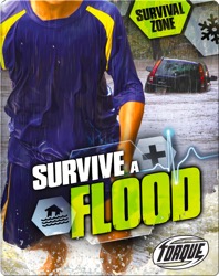 Survive A Flood