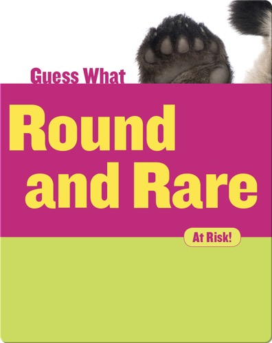 Round and Rare: Giant Panda