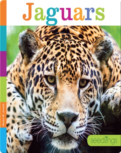 Jaguars