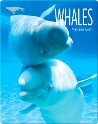 Whales