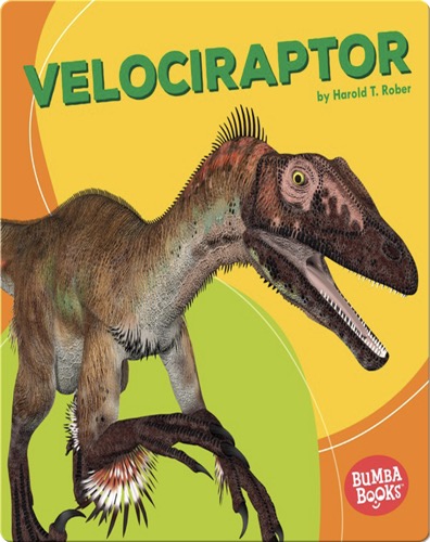 Velociraptor