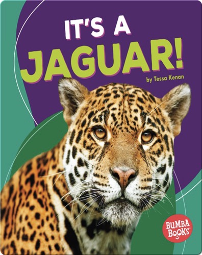 It's a Jaguar!