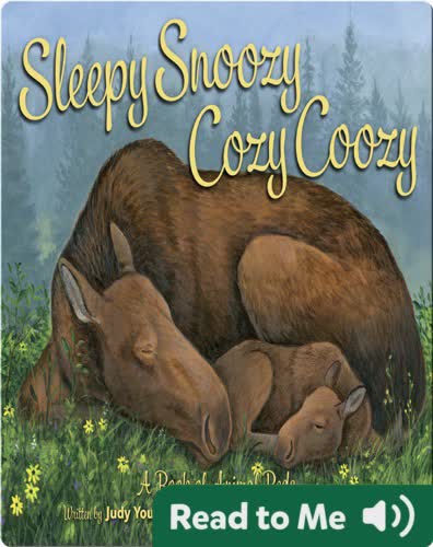 Sleepy Snoozy Cozy Coozy