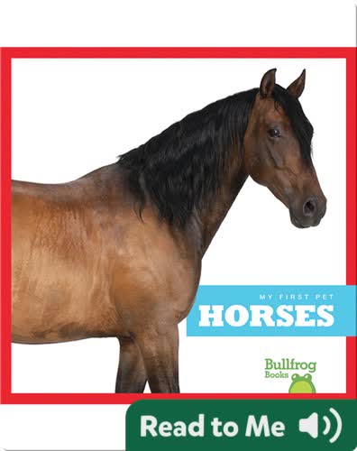 My First Pet: Horses
