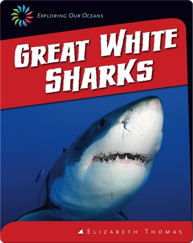 Great White Sharks