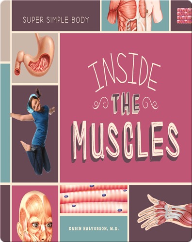 Inside the Muscles