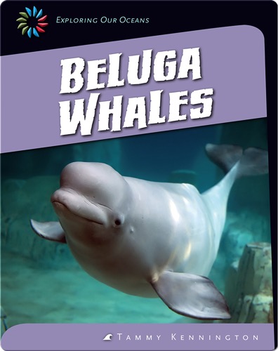 Beluga Whales