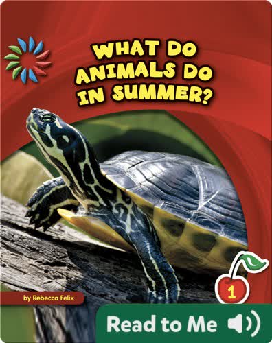 What Do Animals Do in Summer?