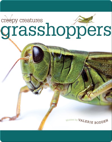 Grasshoppers