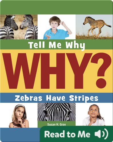 Zebras Have Stripes