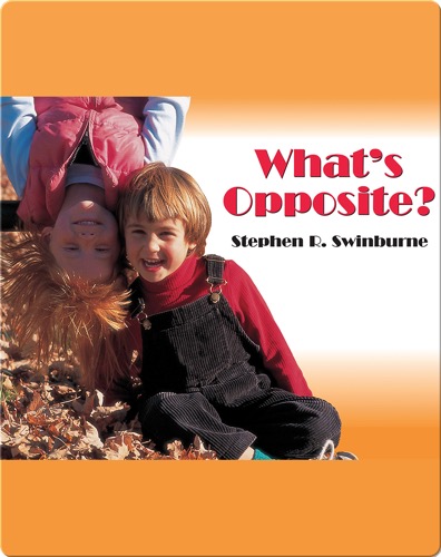 What's Opposite?