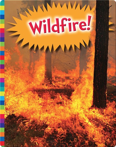 Wildfire!