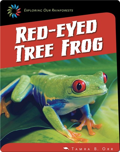 Red-Eyed Tree Frog
