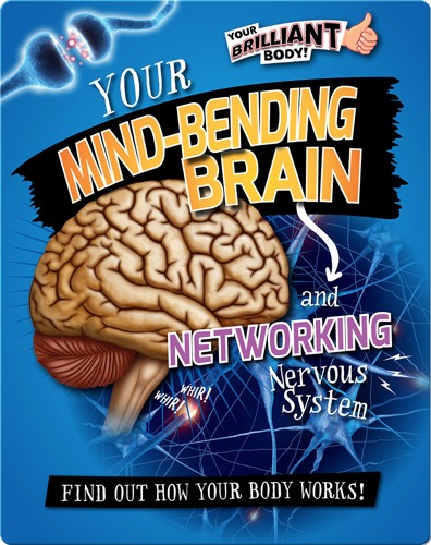 Your Mind-Bending Brain and Networking Nervous System