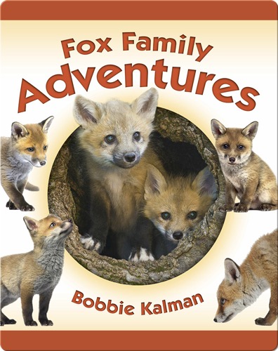Fox Family Adventures