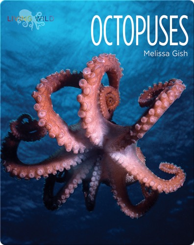 Octopuses