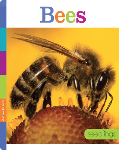 Bees