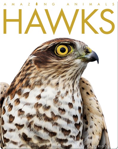 Hawks