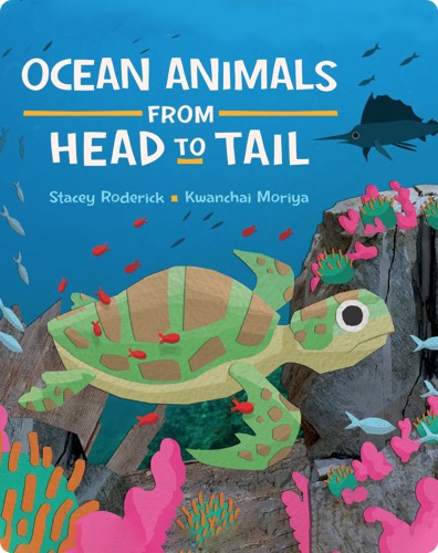 Ocean Animals from Head to Tail
