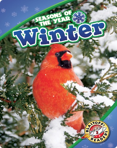 Seasons of the Year: Winter
