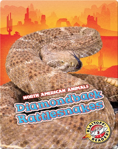 Diamondback Rattlesnakes