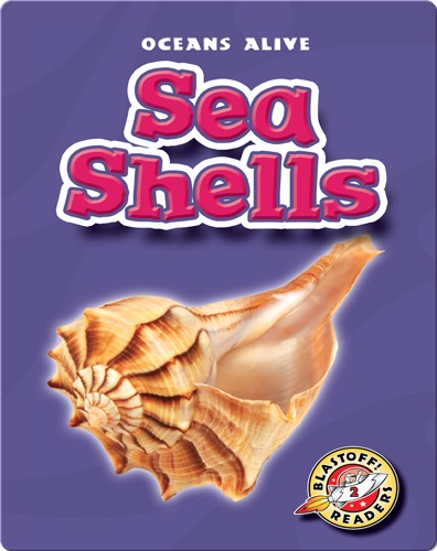 Sea Shells