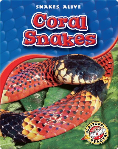 Coral Snakes