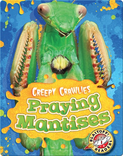 Praying Mantises