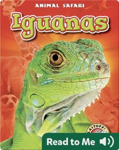 Iguanas