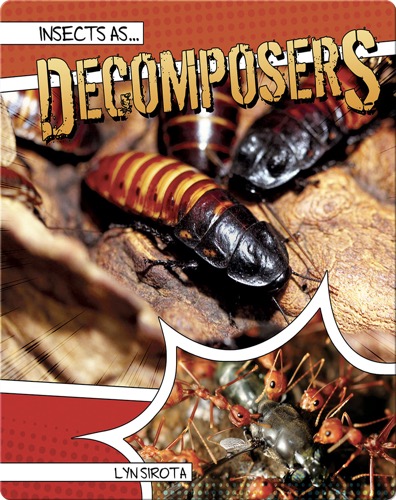 Insects as Decomposers