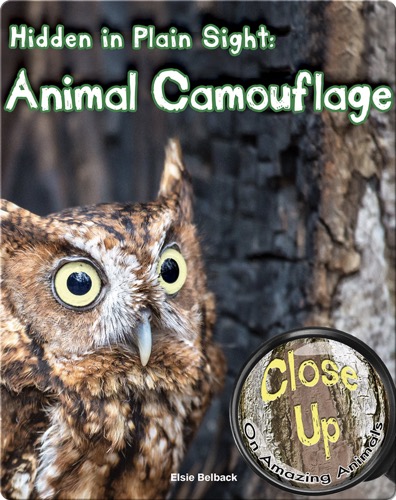Hidden in Plain Sight: Animal Camouflage