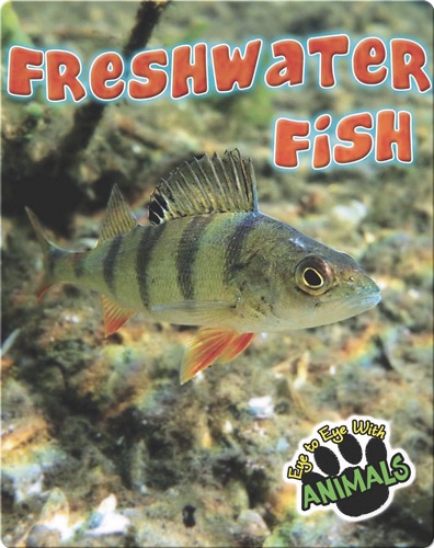 Freshwater Fish
