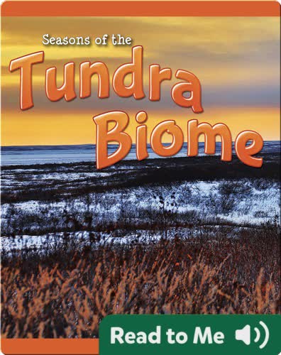 Seasons Of The Tundra Biome