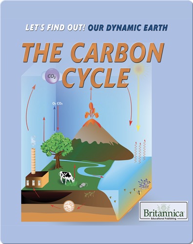 The Carbon Cycle